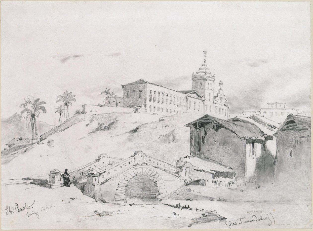 Sao Paulo, Tamandatay by Eduard Hildebrandt