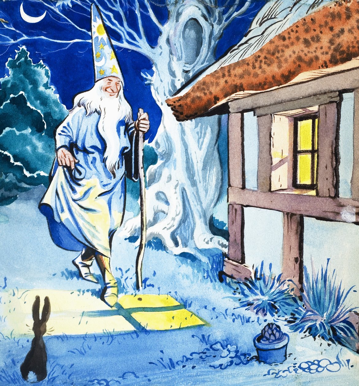 Wizard in the Moonlight by Eduardo Teixeira Coelho