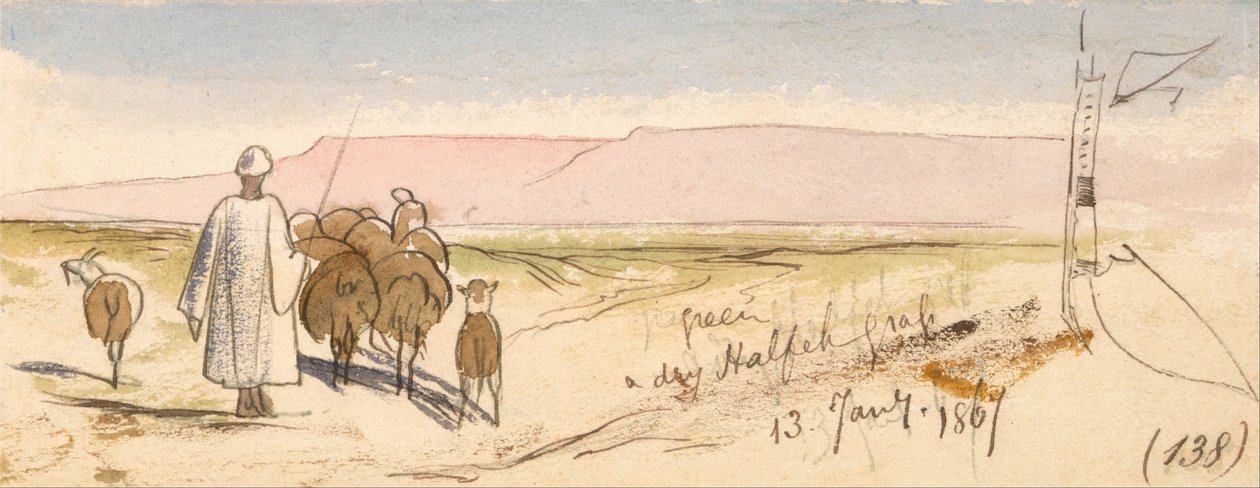 A Dry Halfeh Grass by Edward Lear
