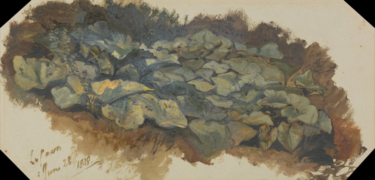 La Cava by Edward Lear