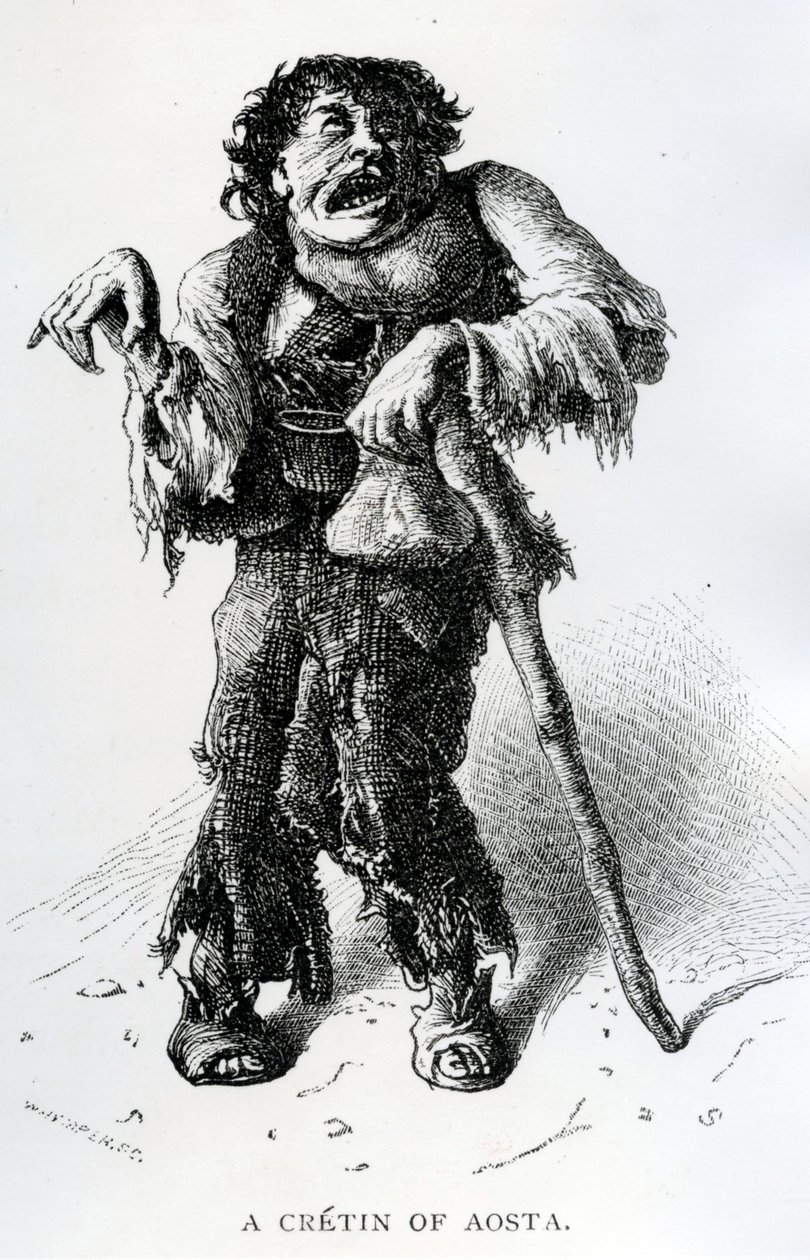 A Cretin of Aosta by Edward Whymper: Buy fine art print