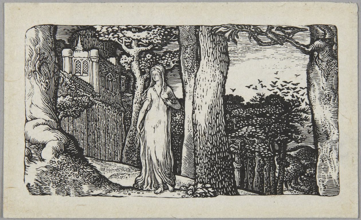 The Lady with the Rooks by Edward Calvert