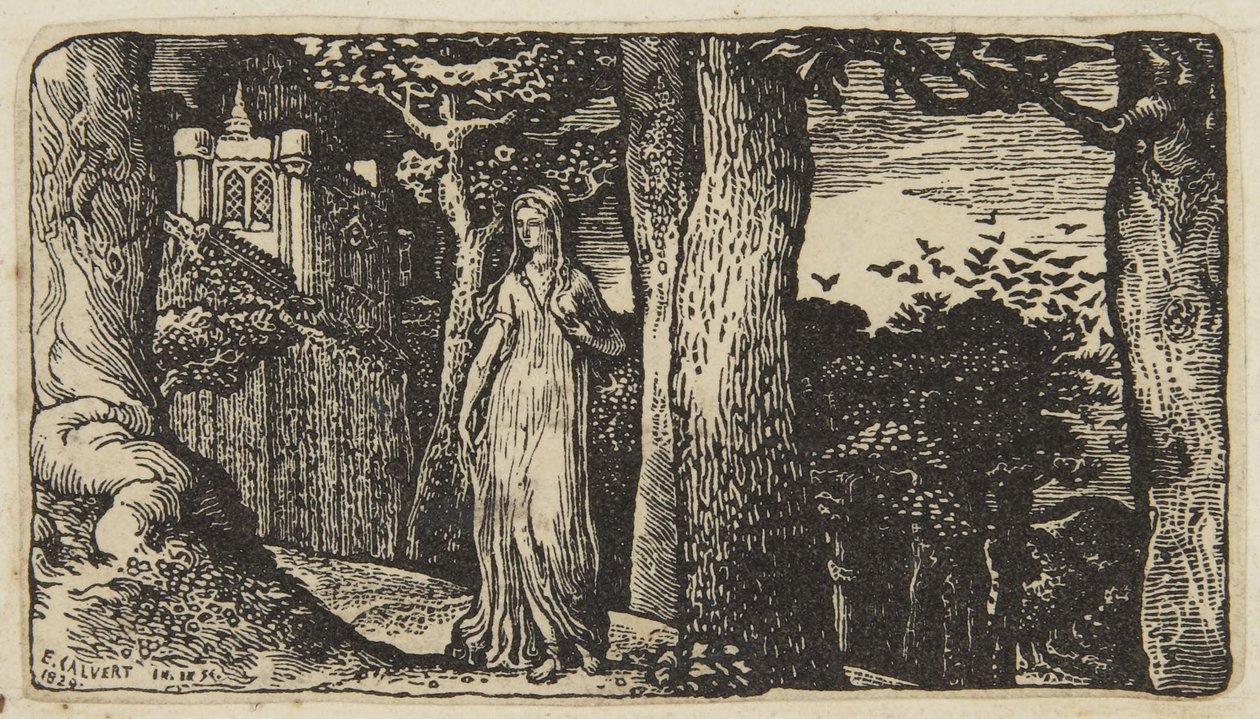 The Lady with the Rooks by Edward Calvert