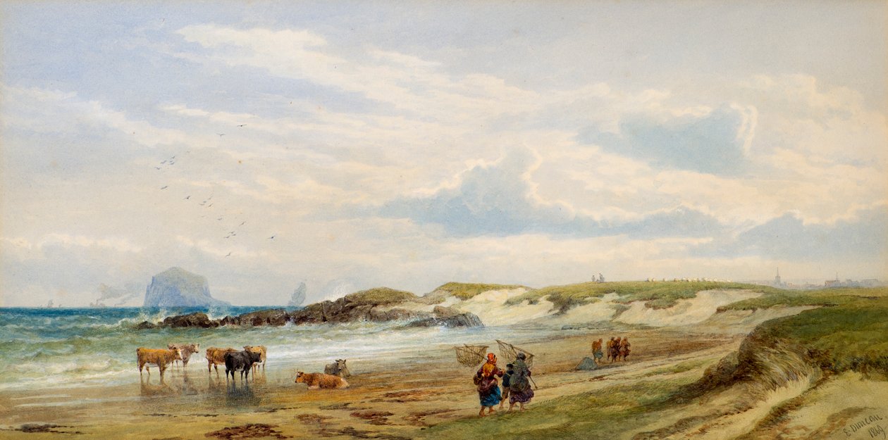 The Bass Rock by Edward Duncan