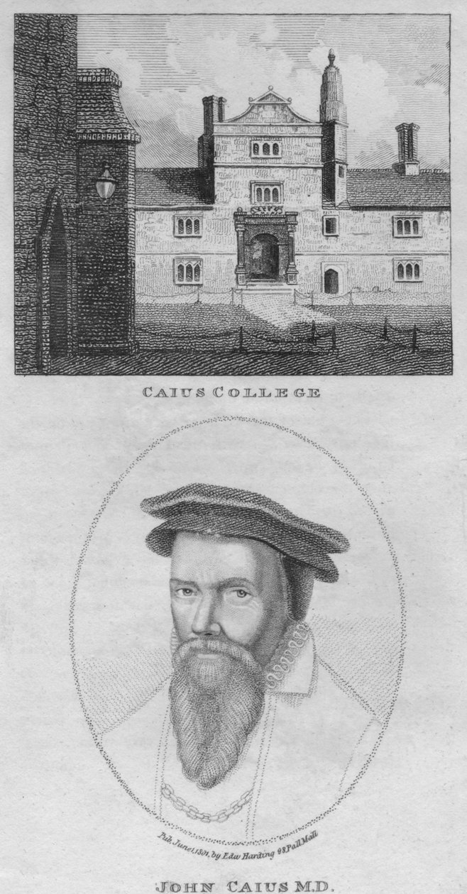 Caius College, John Caius M.D. by Edward Harding