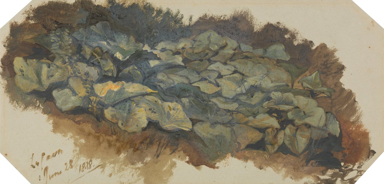 The Cave by Edward Lear