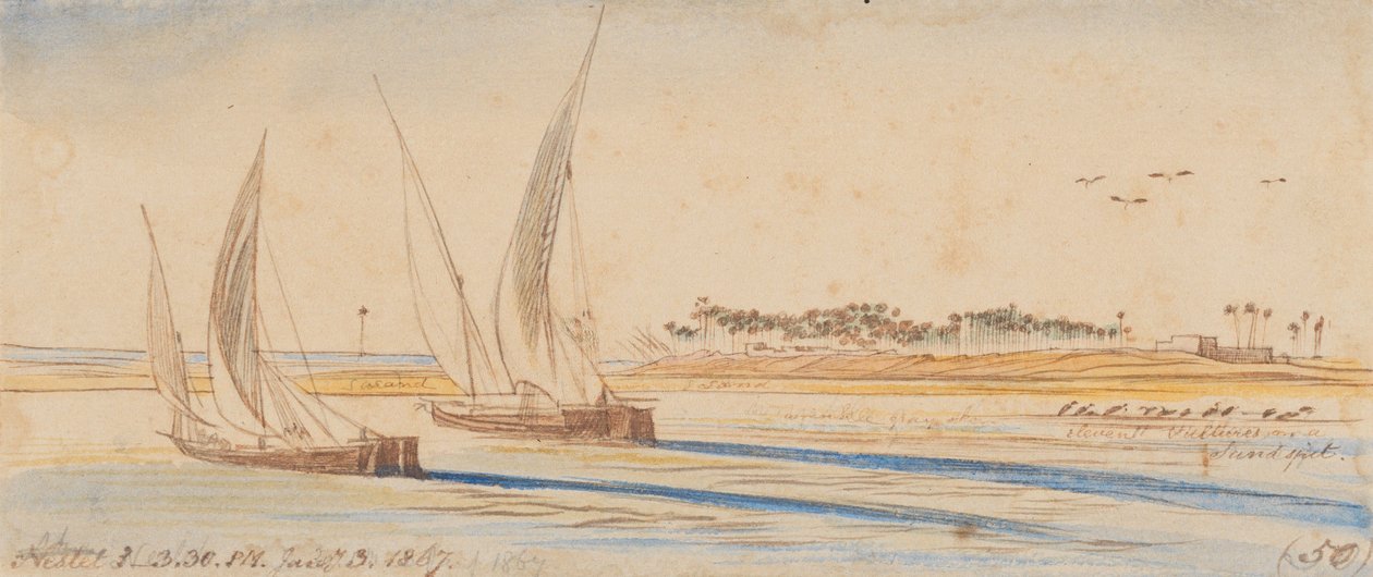 Nestet: 3:30 P.M., 3 Jan. 1867 (50) by Edward Lear