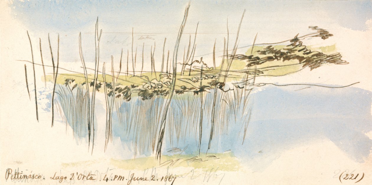 Pettenasco, Lake Orta, 4:00 pm, 2 June 1867 (221) by Edward Lear
