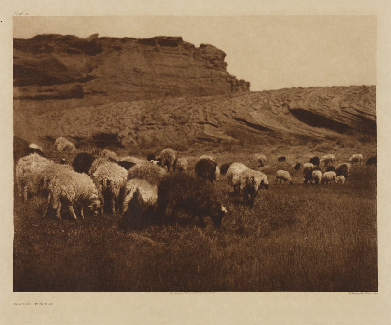 Navajo Flocks by Edward S. Curtis