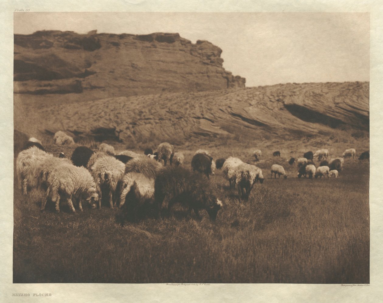 Portfolio I, Plate 33: Navaho Flocks by Edward S. Curtis