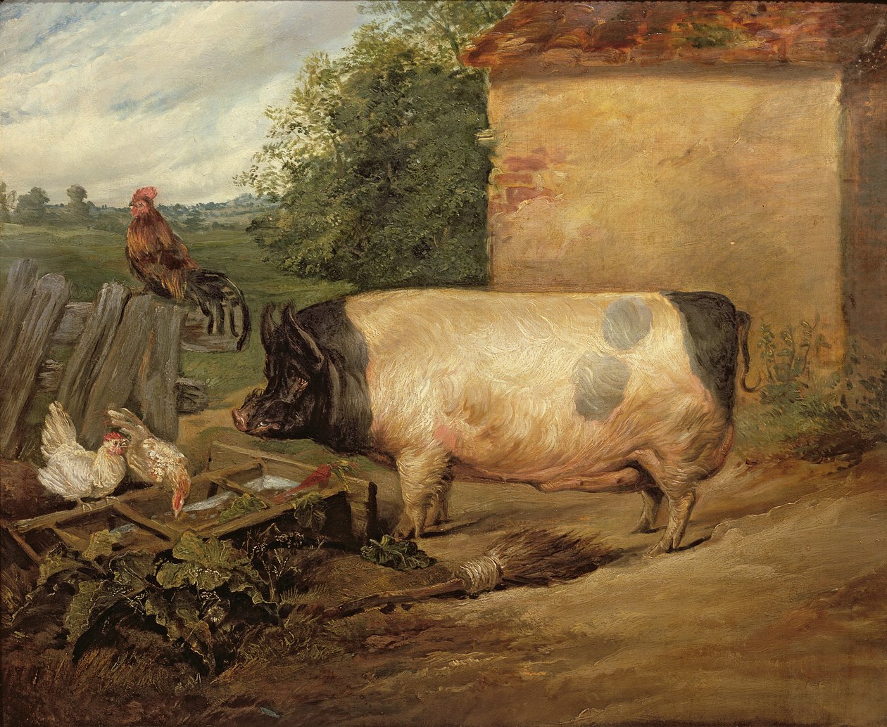 Portrait of a Prize Pig, Property of Squire Weston of Essex, 1810 by Edwin Landseer