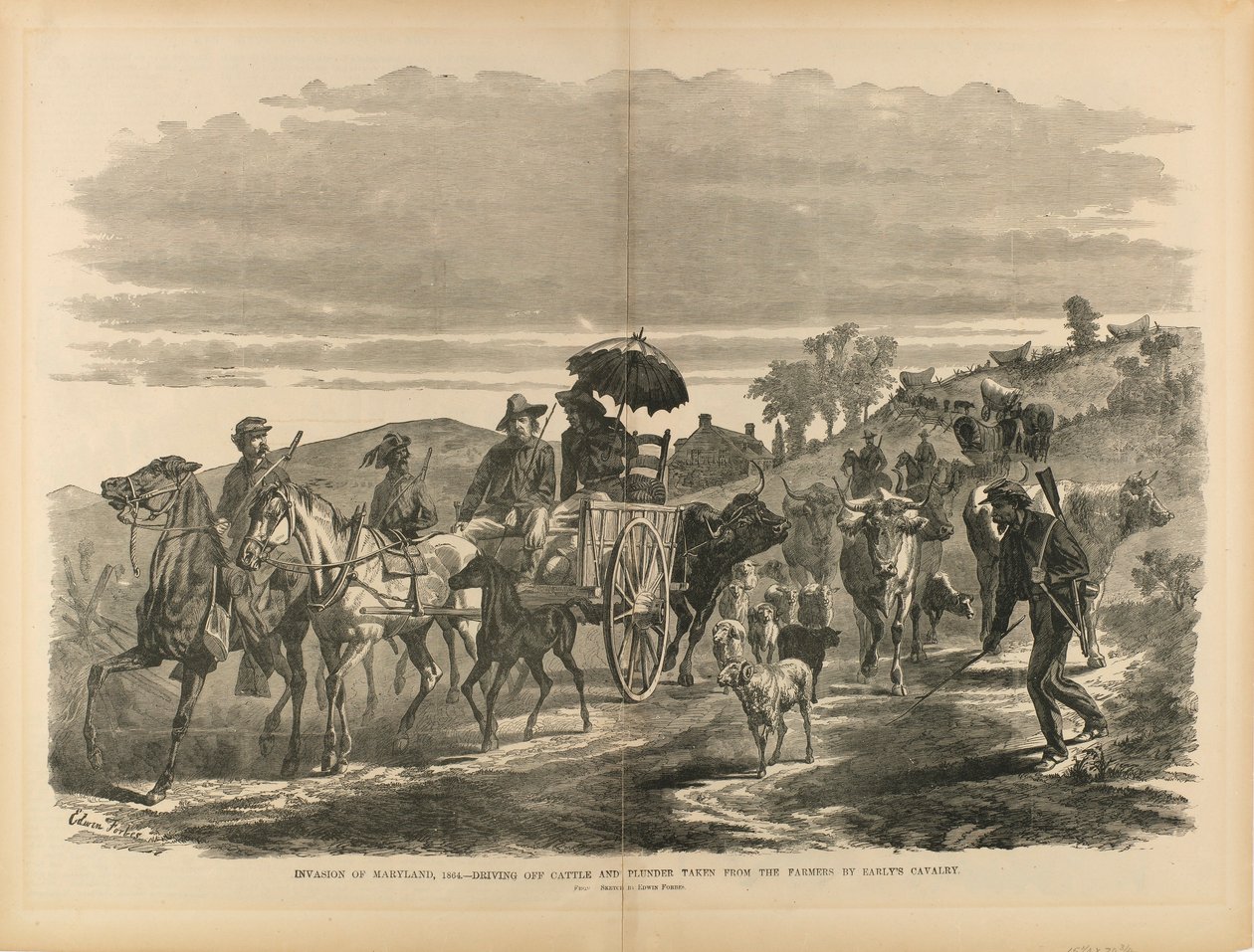 Invasion of Maryland, 1864--Driving Off Cattle and Plunder taken from Farmers by Early