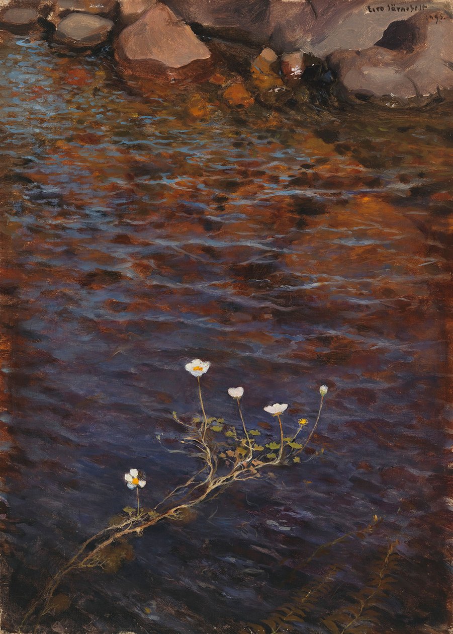 Pond Water Crowfoot by Eero Järnefelt