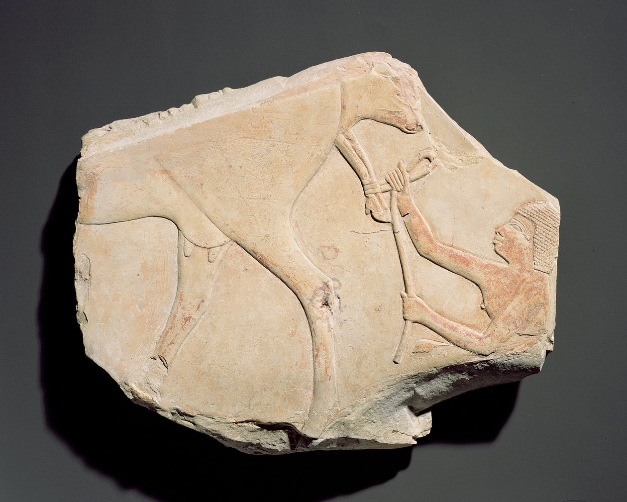 Fragment of a Relief Depicting the Birth of a Calf, from Asasif, Thebes
