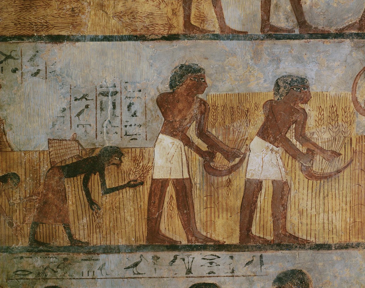 Farmhands Harvesting by Egyptian 18th Dynasty