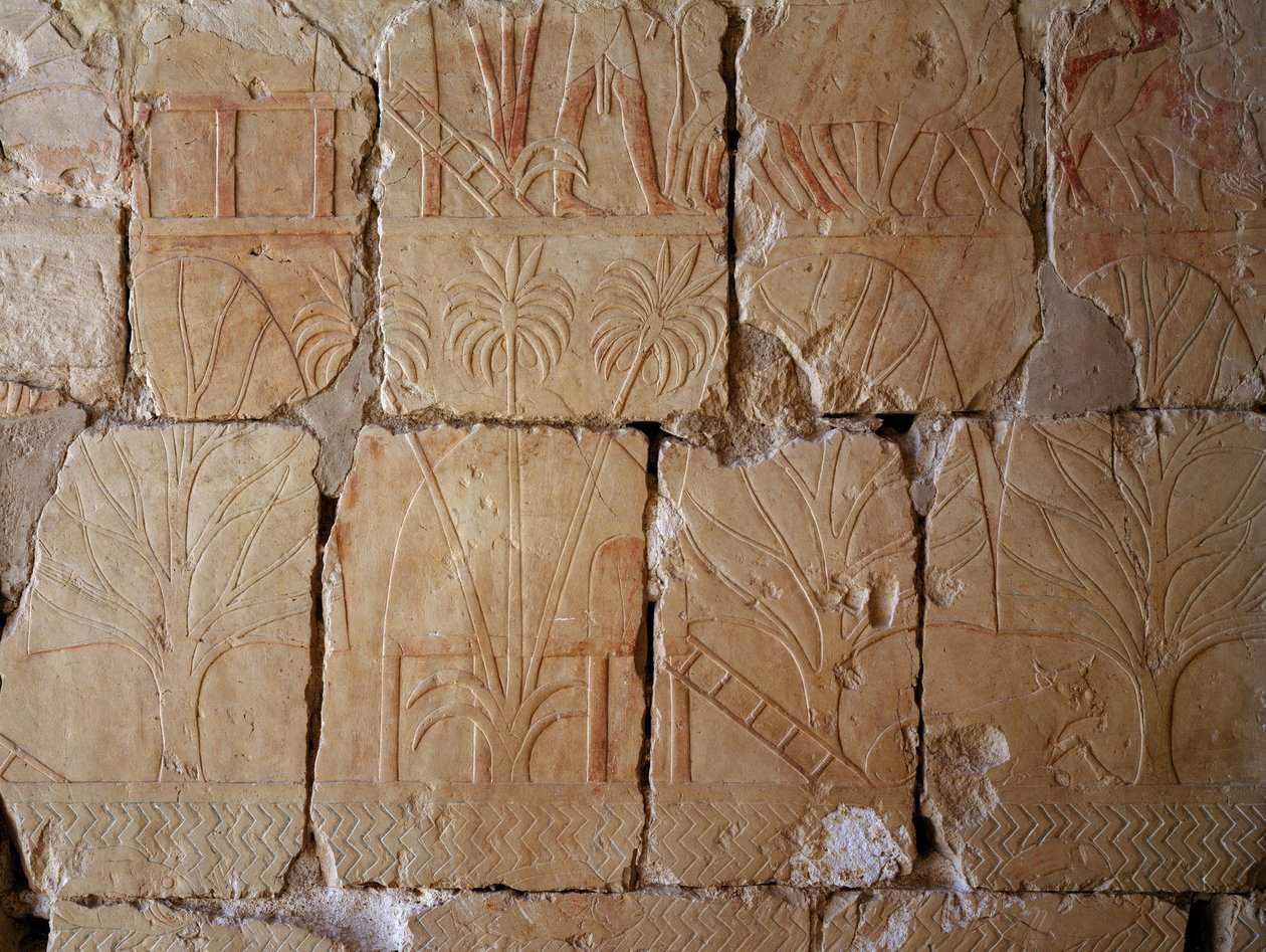 Vegetation (detail) by Egyptian 18th Dynasty: Fine art print