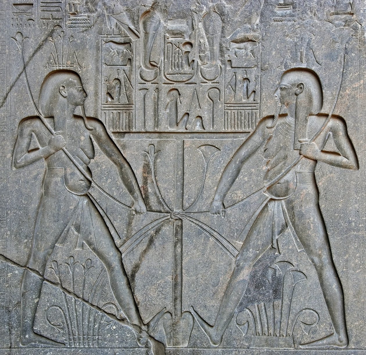 Detail of the base of the statue of Pharaoh Ramses II representing the union of Upper and Lower Egypt. Temple of Luxor, East Bank (Thebes), Egypt by Egyptian 19th Dynasty