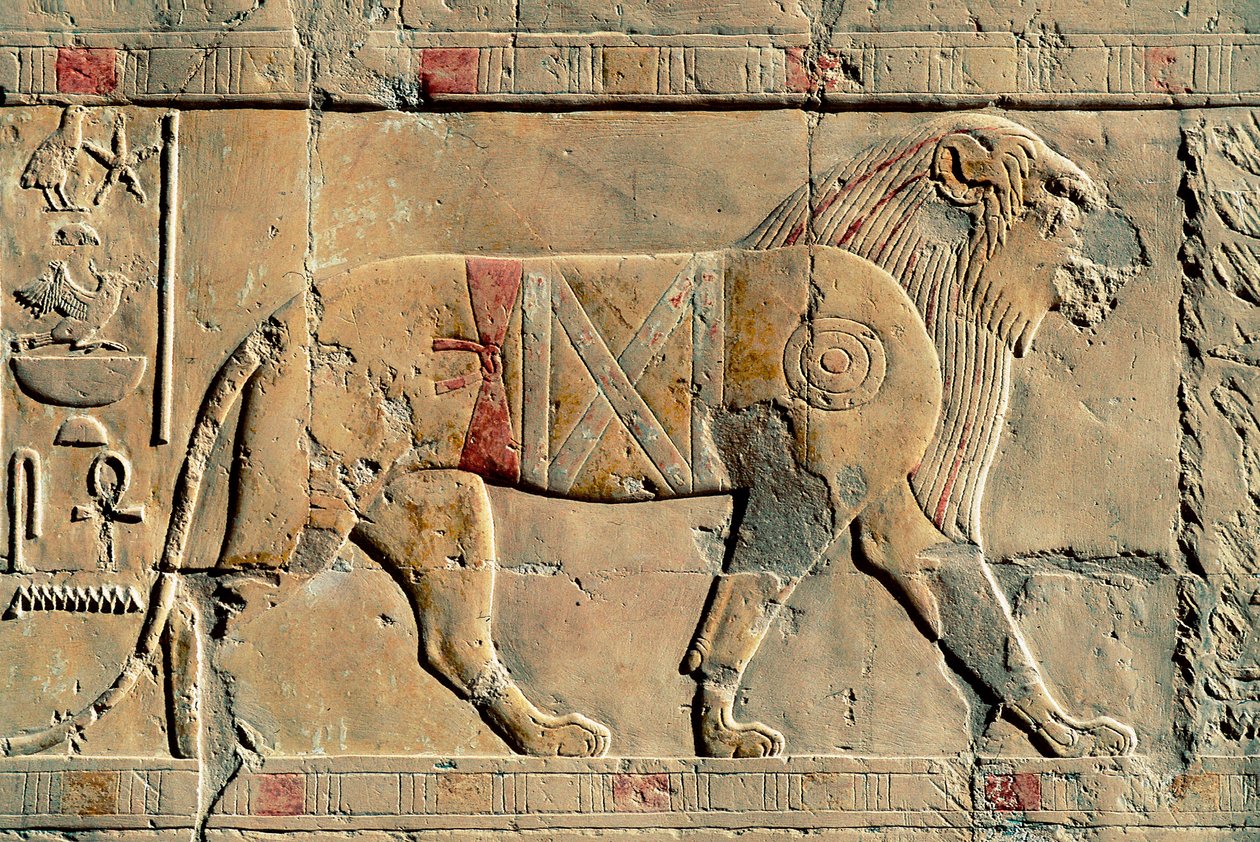 Lion, Senenmut, Temple of Hatshepsut, Dayr al-Bahri, Egypt