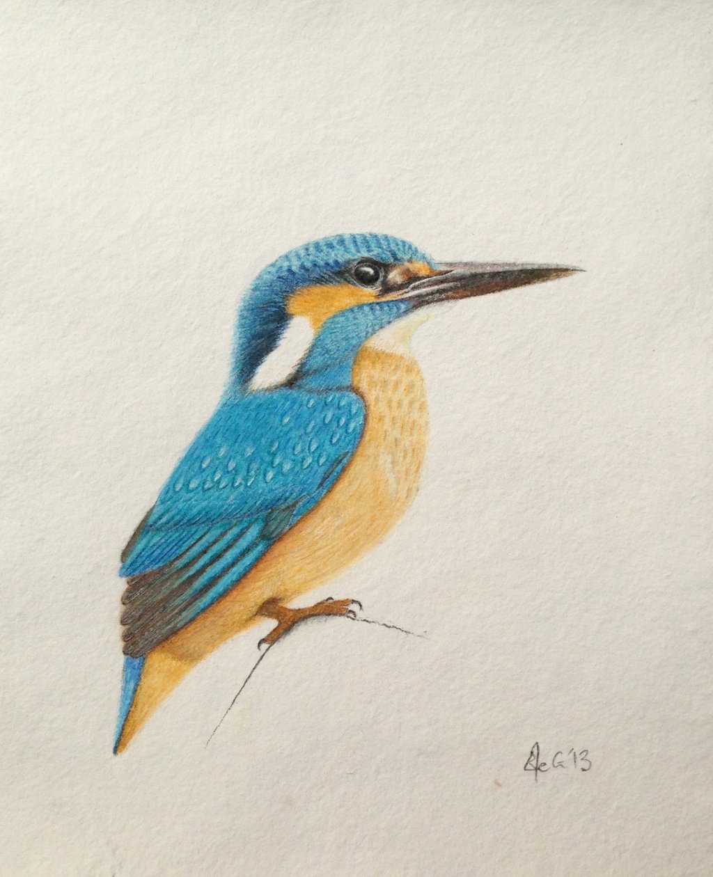 Kingfisher, 2013 by Eleanor Grafton