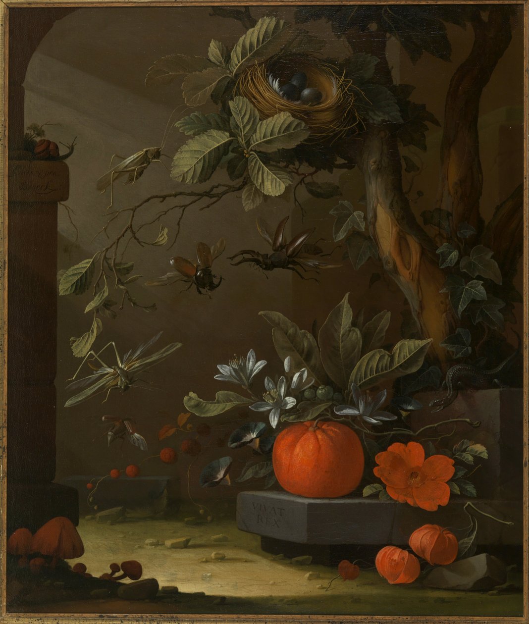 Vivat Rex by Elias van den Broeck