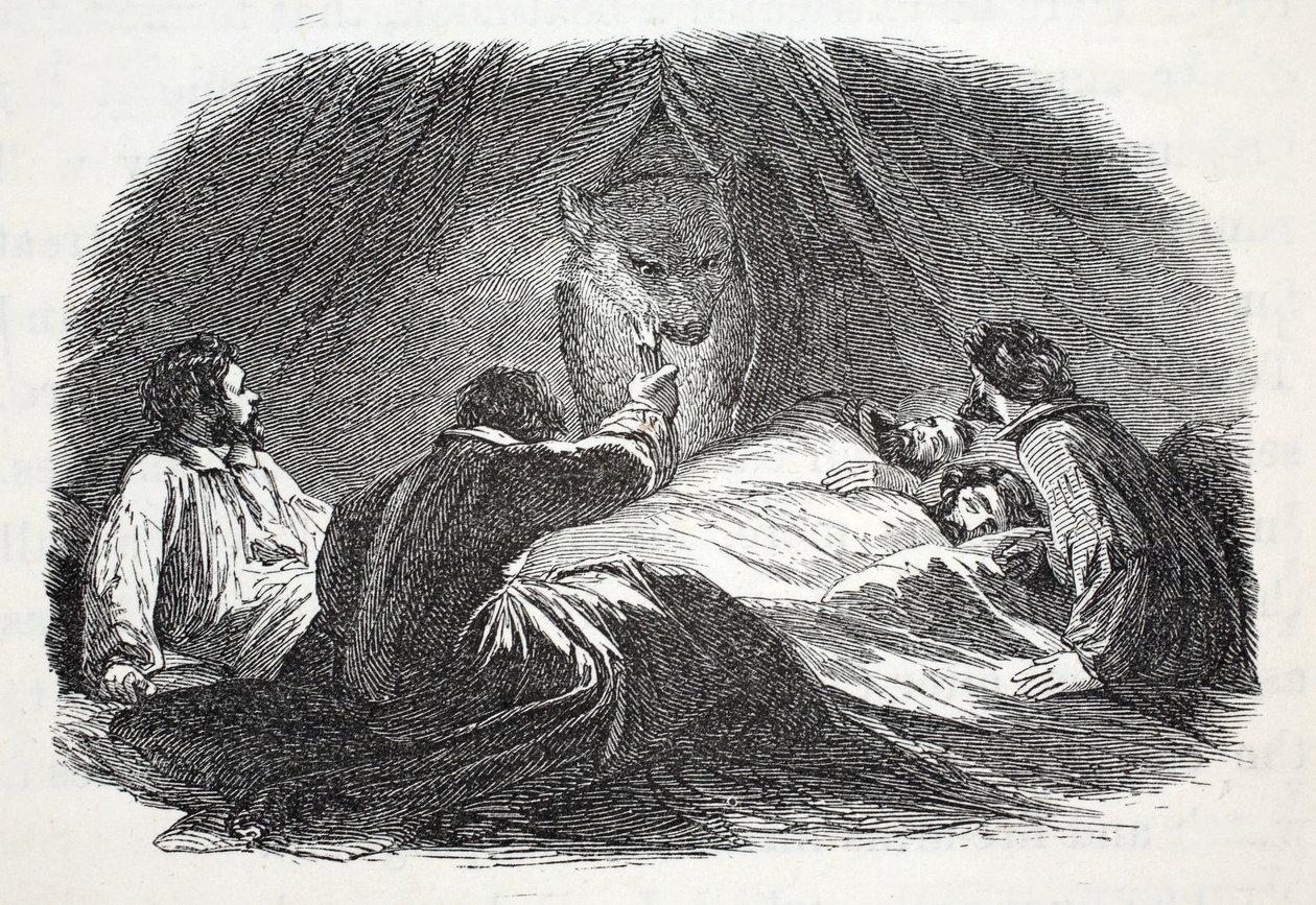 The Bear in Camp, illustration from 