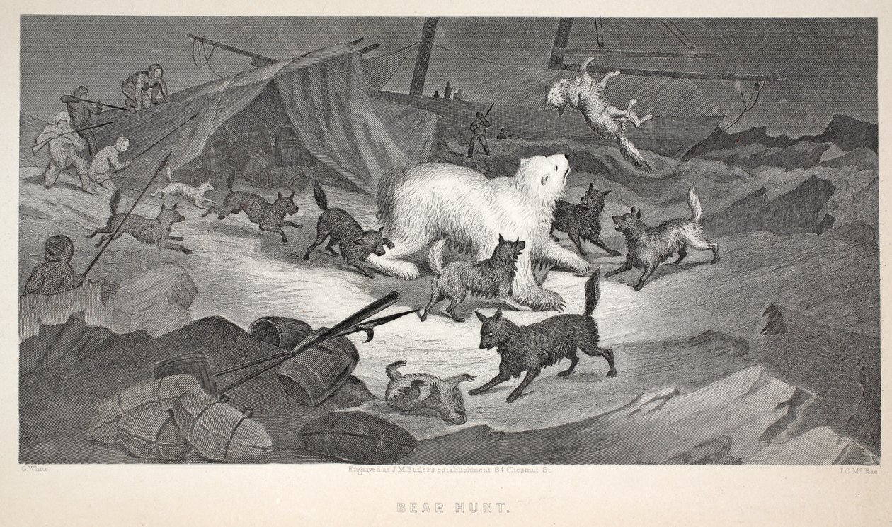 Bear Hunt, illustration from 