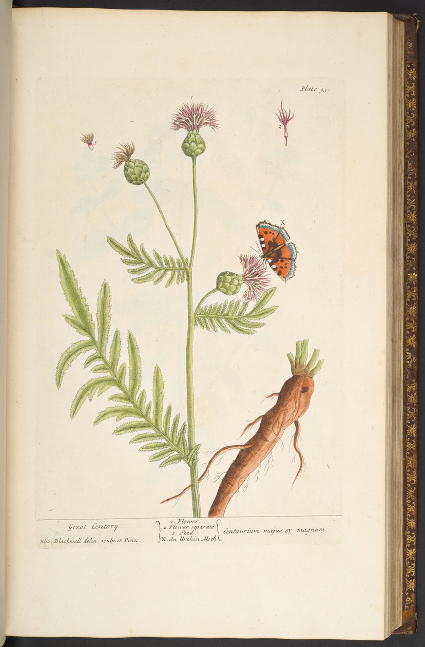 Plate 93, from 