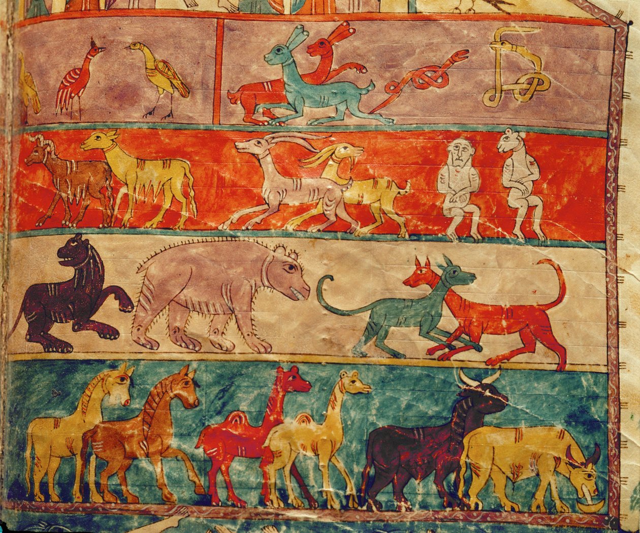 Animals Inside the Ark by Emeterio the Monk