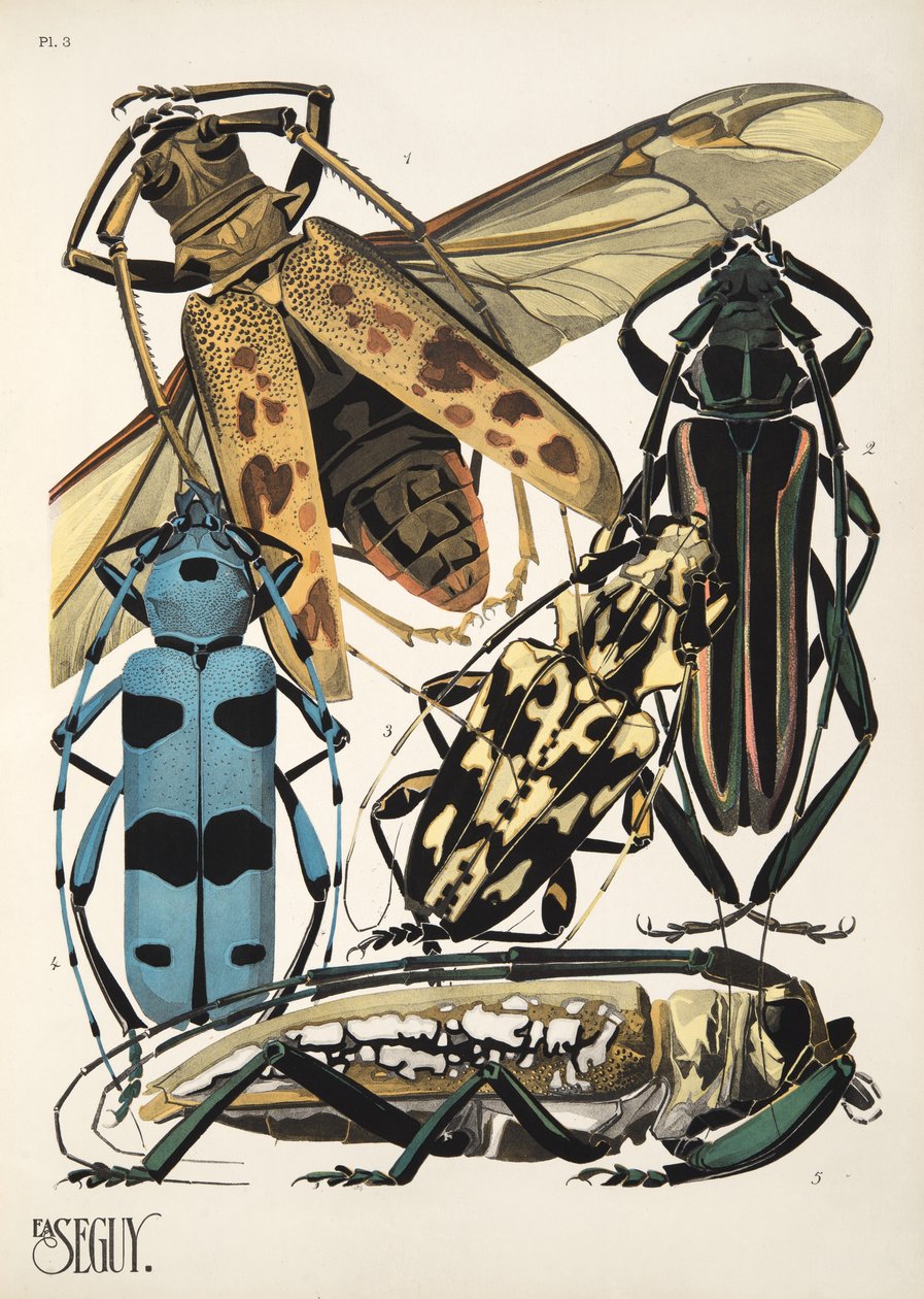 Plate 3 from Insects, pub. 1930