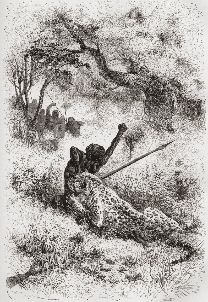 A Leopard Attacking an African, illustration from 