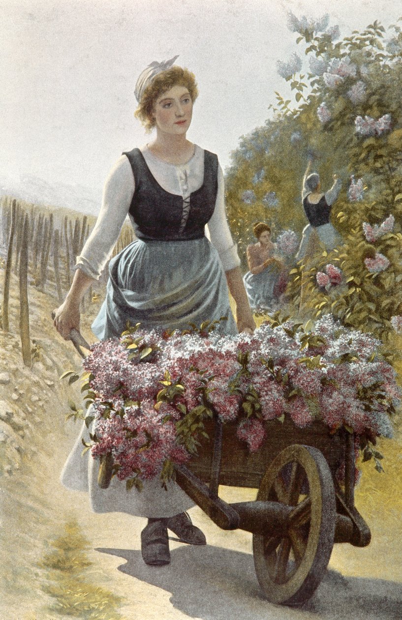 The Harvest of Flowers by Emile Millochau
