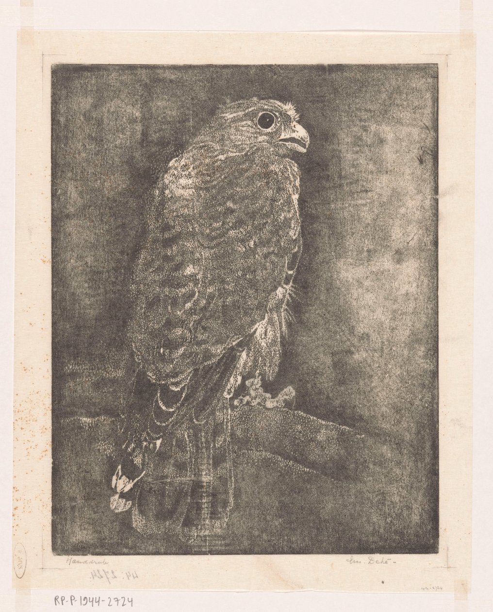 Falcon on a Branch by Emilius Wilhelmus Dehé (signed by artist)