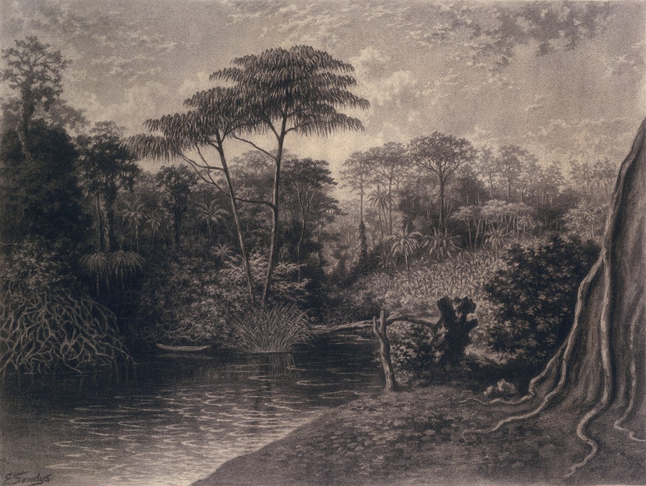 View of the Cameroon River, Ambes Bay, Africa by Emma Sandys