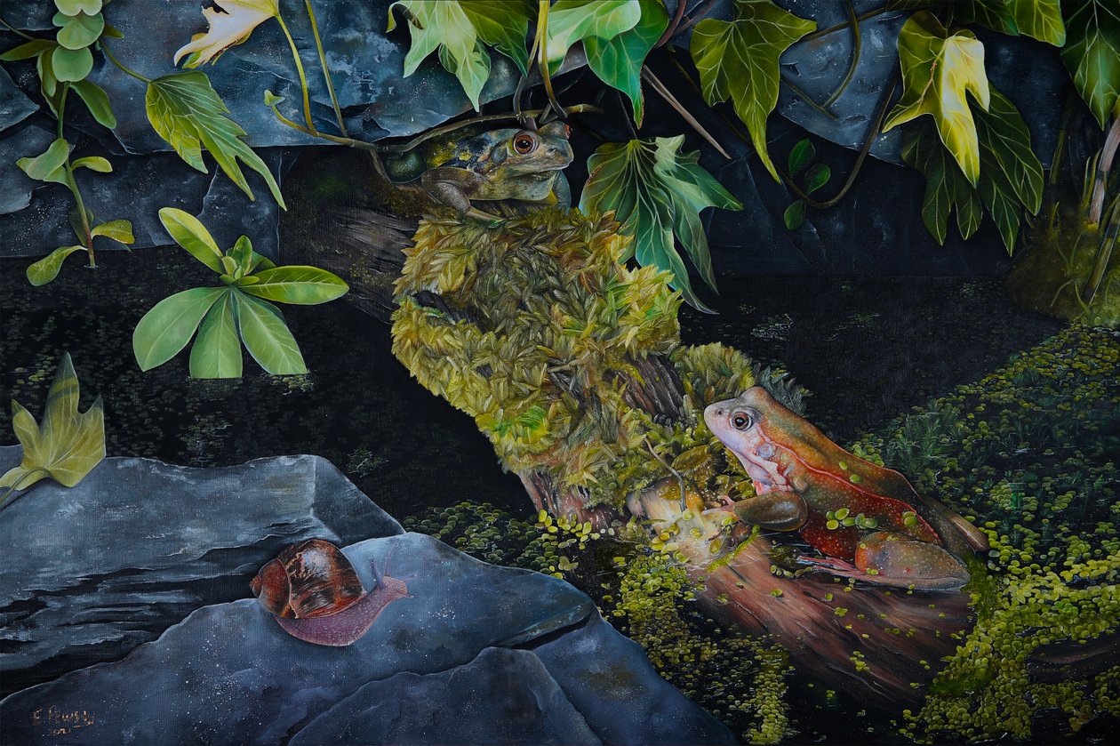 Pond Life, 2021 by Emma Pewsey
