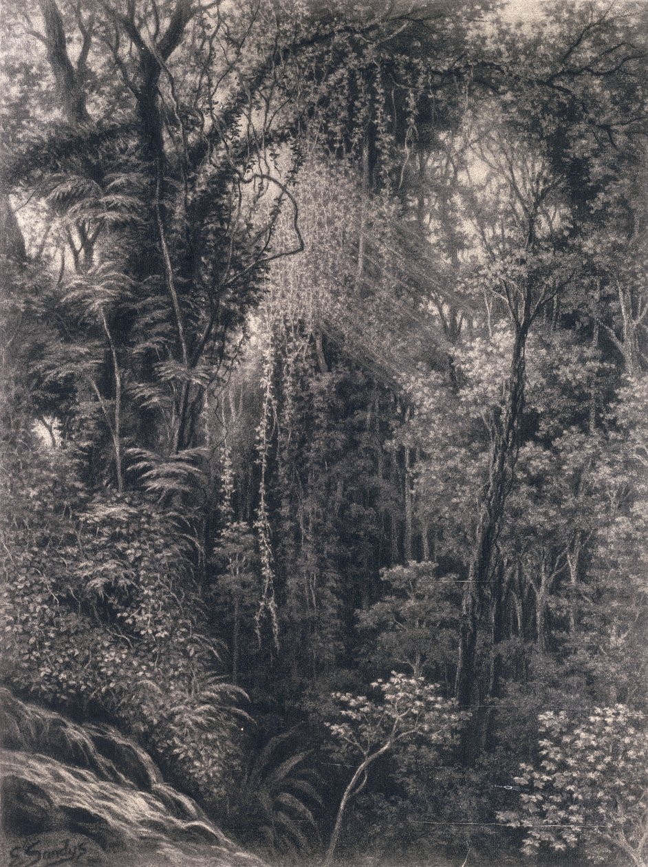 View of the Gorge above Apia, Upolu, Western Samoa by Emma Sandys