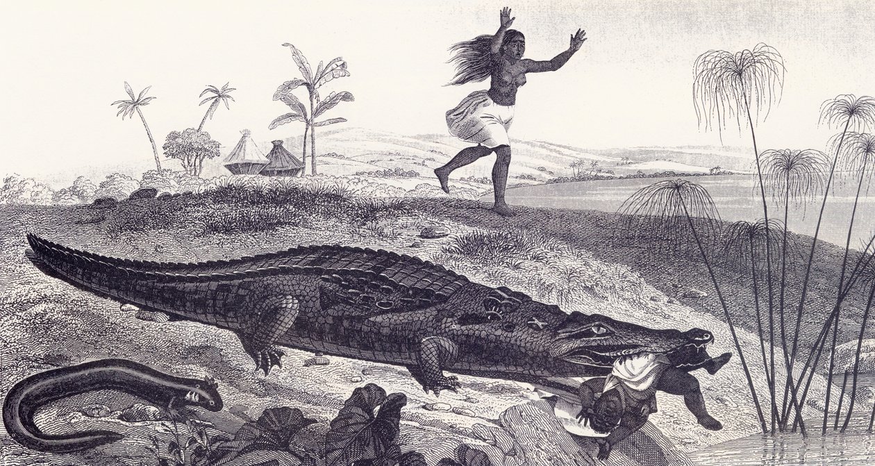 A Crocodile Snatches a Child from an African Village by English School