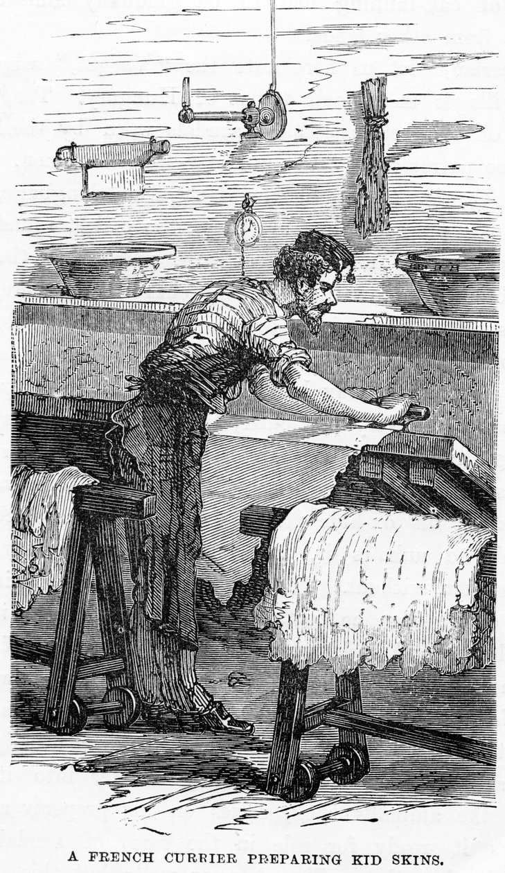 A French Currier Preparing Kid Skins by English School