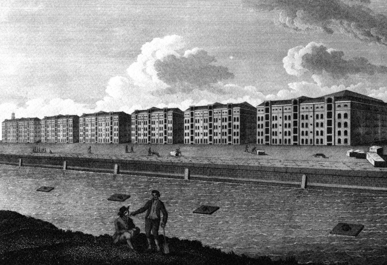 A View of the Warehouses and West-India Dock, 1803 by English School
