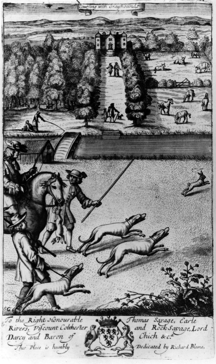 Coursing with Greyhounds, from 