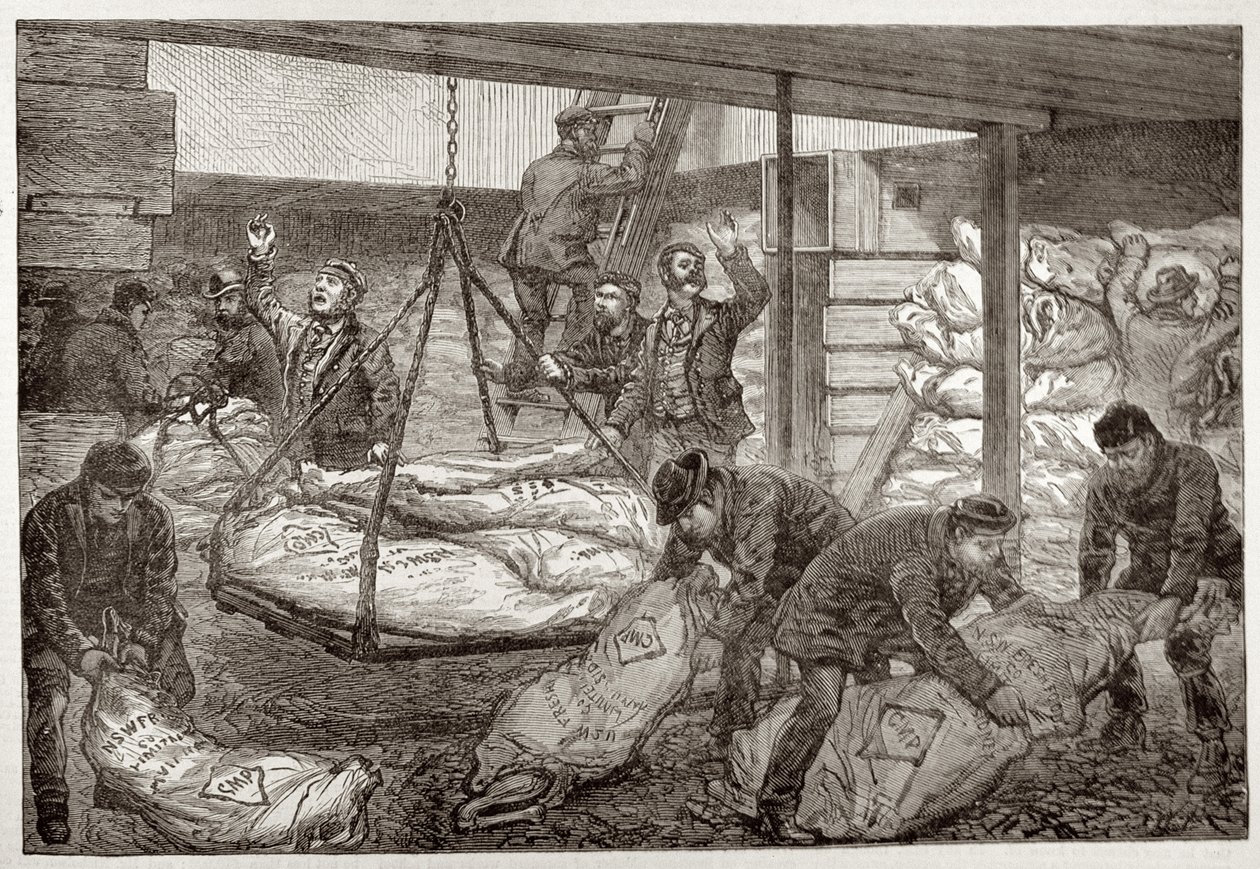 Landing Australian Frozen Meat from Sydney in the South West India Dock, Millwall, from 