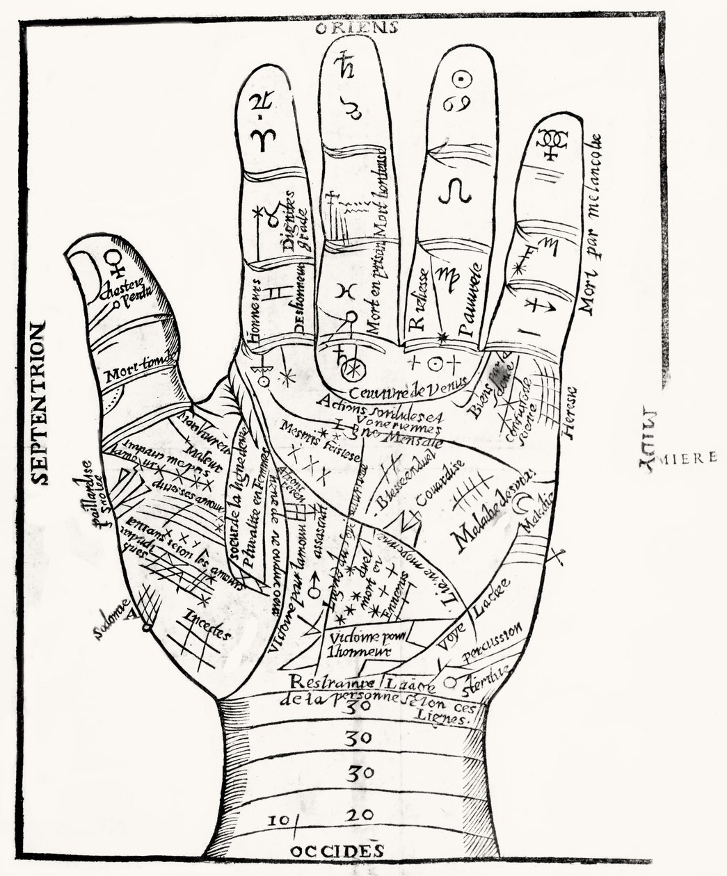 Palmistry by English School