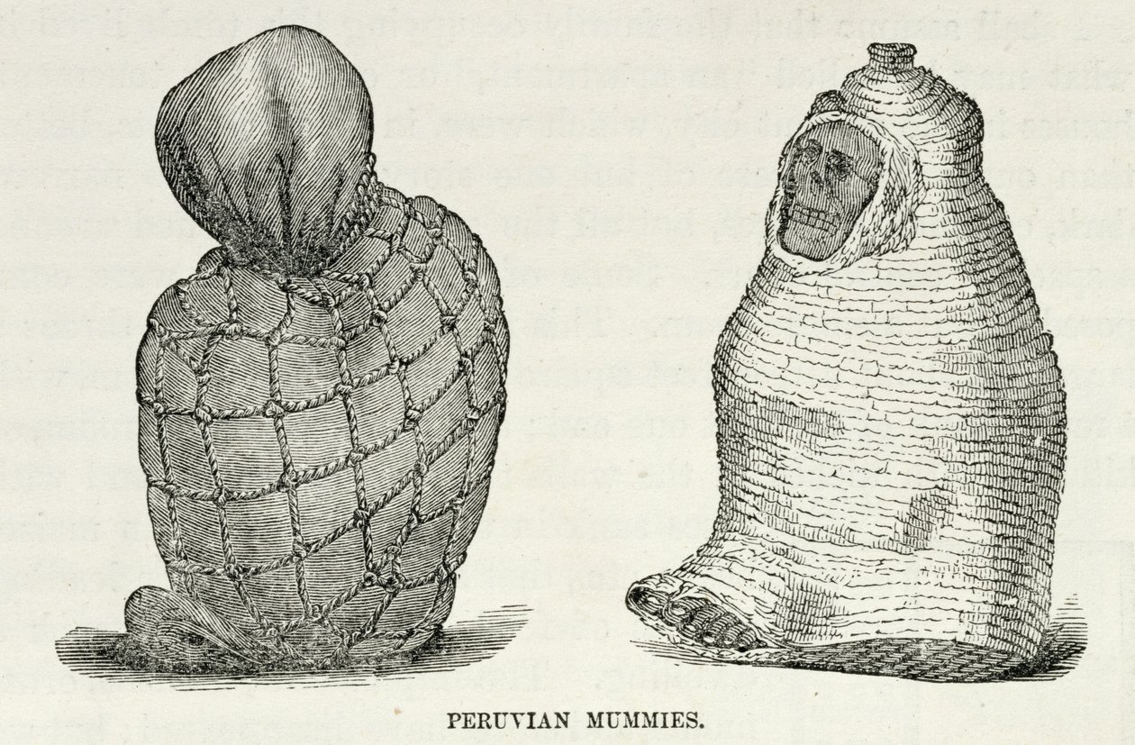 Peruvian Mummies, from 