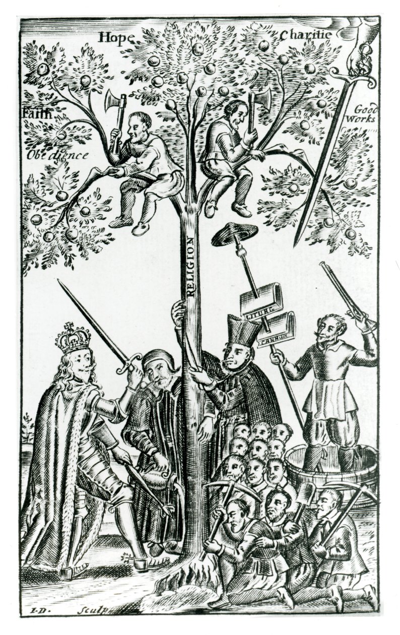 Scene from 