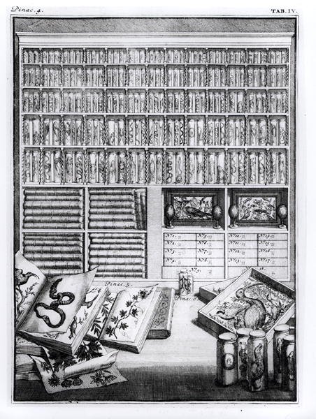 Table 4 from Elenchus Tabularum by Levin Vincent, 1719 by English School