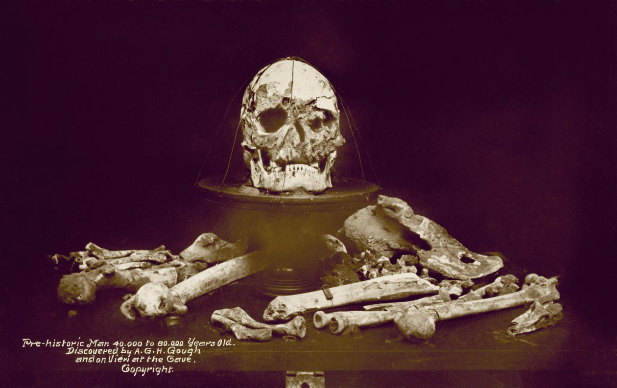 Bones of a prehistoric man 40,000 to 80,000 years old discovered by A G H Gough by English Photographer