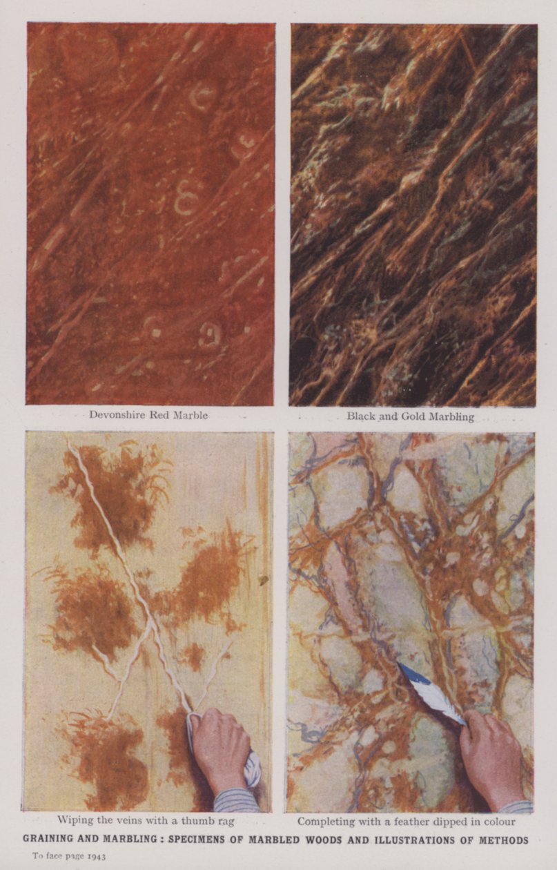 Graining and Marbling, Specimens of Marbled Woods and Illustrations of Methods by English Photographer