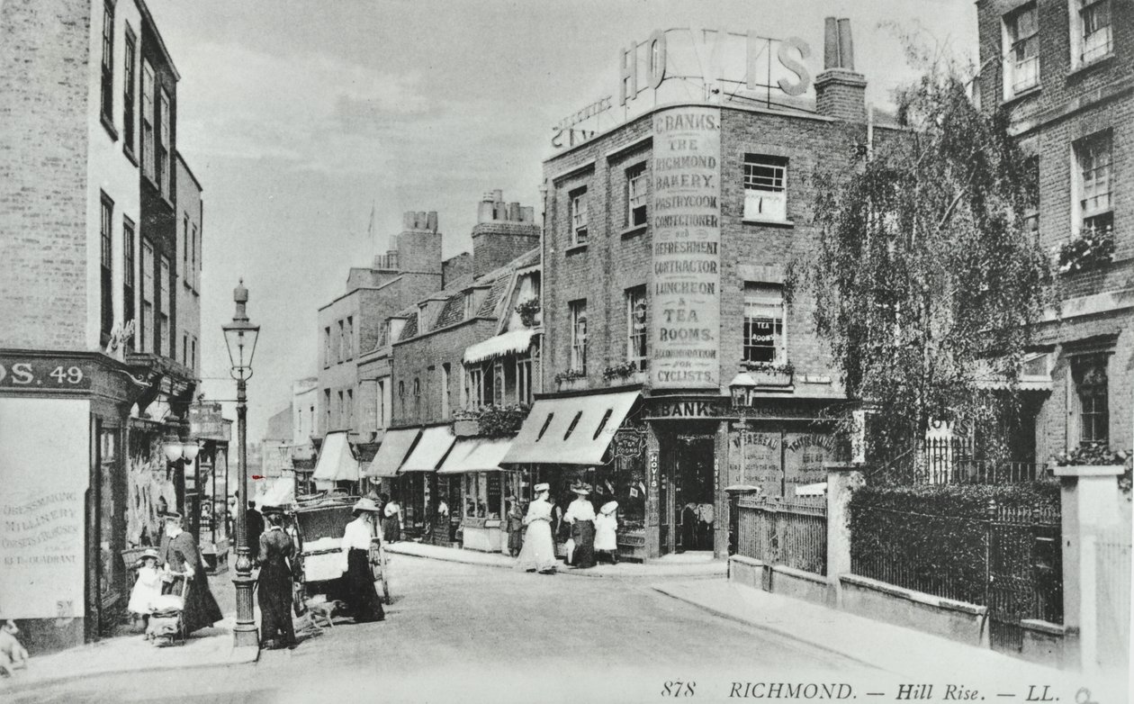 Hill Rise, Richmond: general view, 1895 by English Photographer