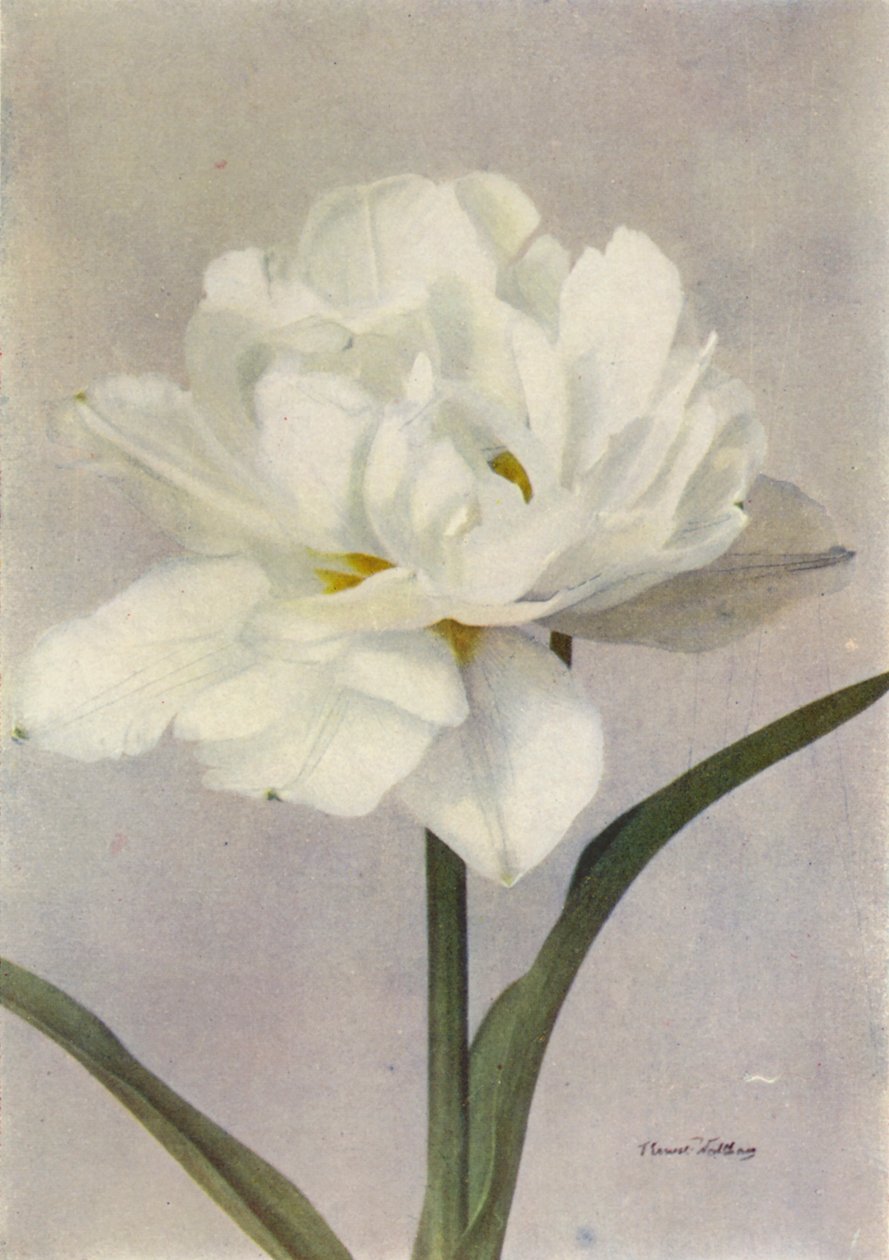 Schoonoord by English Photographer