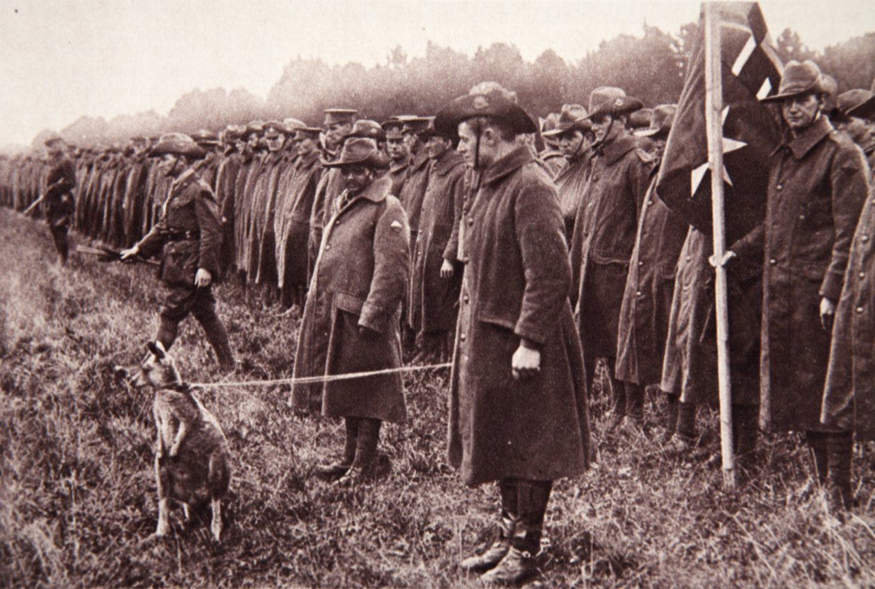 The Anzac review on Salisbury Plain: an Australian mascot by English Photographer