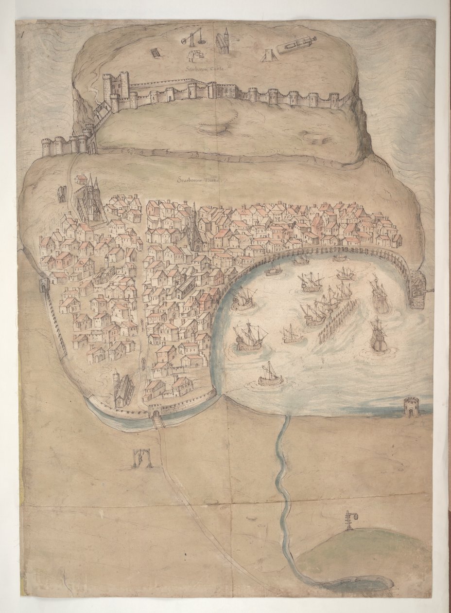A Coloured Plan or Bird